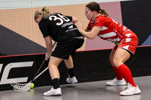 20260102 PixboStorvreta 0339