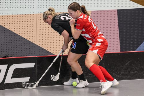 20260102 PixboStorvreta 0340