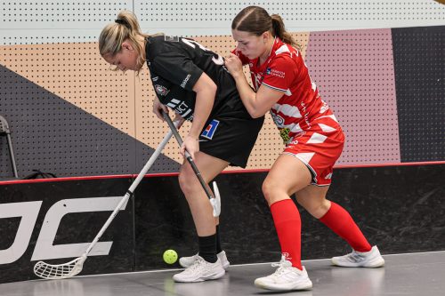 20260102 PixboStorvreta 0341