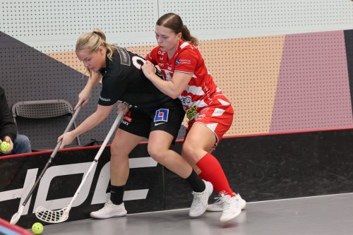 20260102 PixboStorvreta 0342