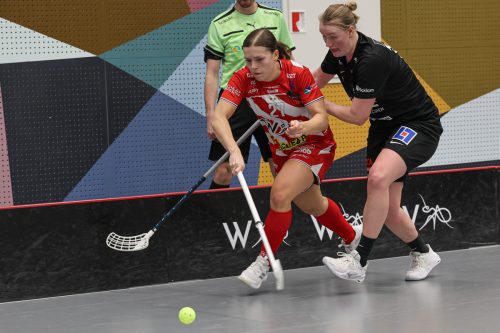 20260102 PixboStorvreta 0345