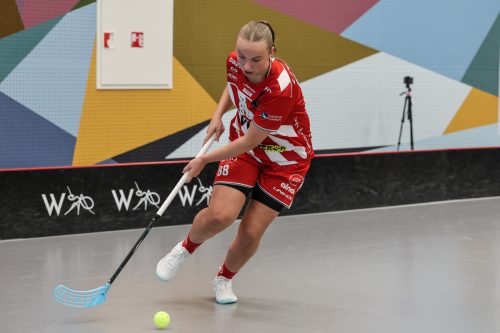 20260102 PixboStorvreta 0356