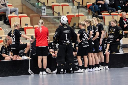 20260102 PixboStorvreta 0358