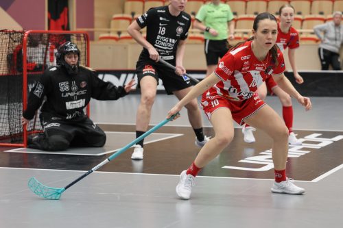 20260102 PixboStorvreta 0361