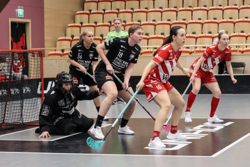 20260102 PixboStorvreta 0364