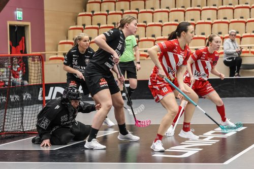 20260102 PixboStorvreta 0365