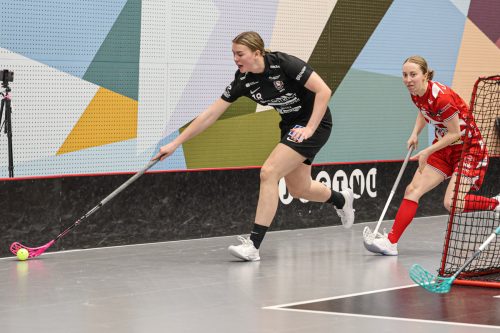 20260102 PixboStorvreta 0366