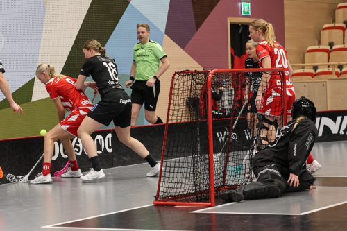 20260102 PixboStorvreta 0377