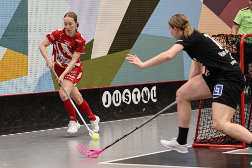 20260102 PixboStorvreta 0382