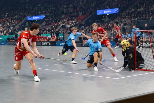 20260103 PixboWarberg 0060