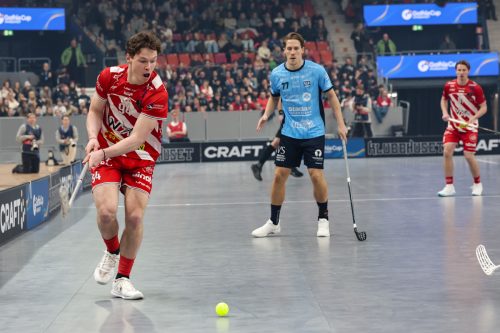 20260103 PixboWarberg 0067