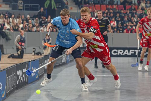 20260103 PixboWarberg 0081