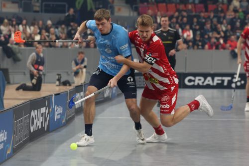 20260103 PixboWarberg 0082