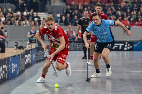 20260103 PixboWarberg 0103