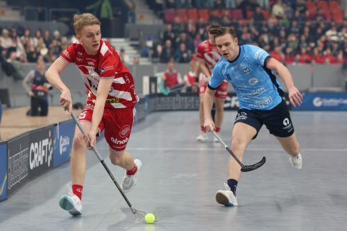 20260103 PixboWarberg 0106