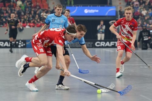 20260103 PixboWarberg 0122