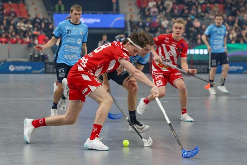 20260103 PixboWarberg 0123