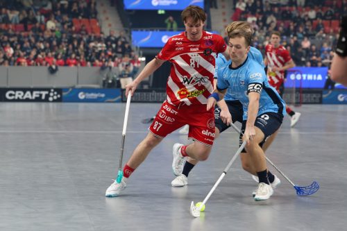 20260103 PixboWarberg 0128