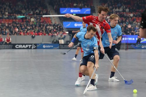 20260103 PixboWarberg 0129