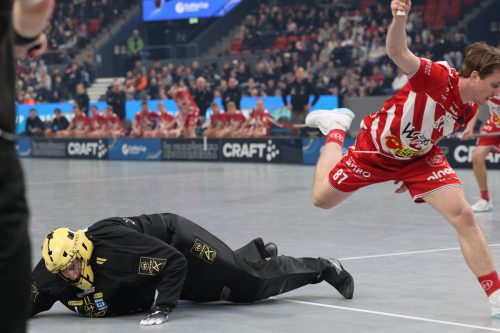 20260103 PixboWarberg 0131