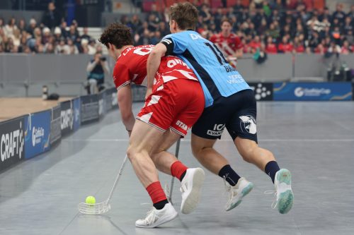 20260103 PixboWarberg 0147