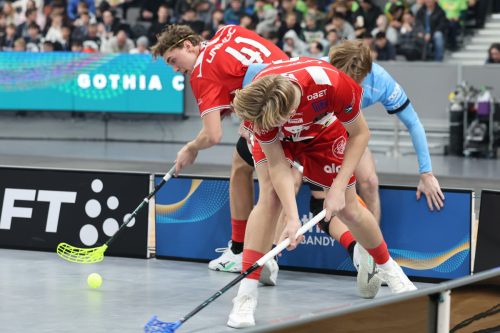 20260103 PixboWarberg 0237