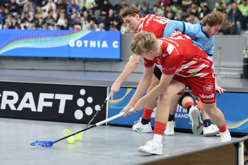20260103 PixboWarberg 0238