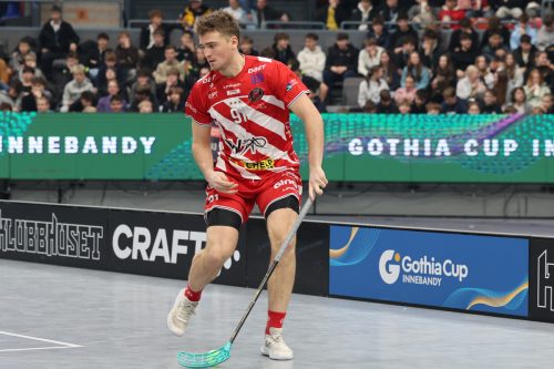20260103 PixboWarberg 0283