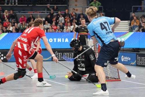 20260103 PixboWarberg 0286