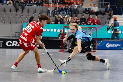 20260103 PixboWarberg 0306