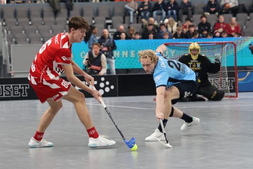 20260103 PixboWarberg 0307