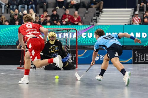 20260103 PixboWarberg 0310