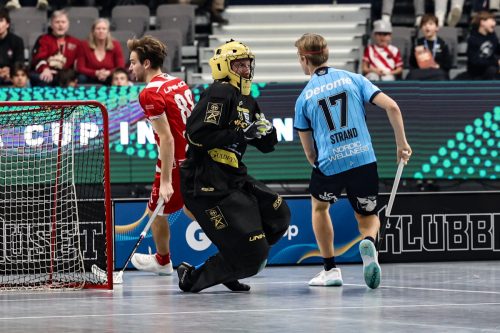 20260103 PixboWarberg 0313
