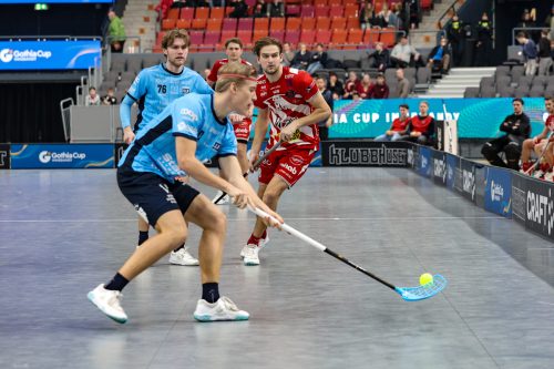 20260103 PixboWarberg 0357