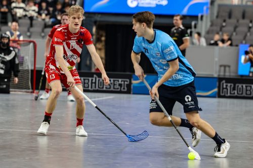 20260103 PixboWarberg 0404