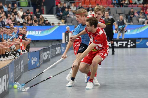 20260103 PixboWarberg 0425