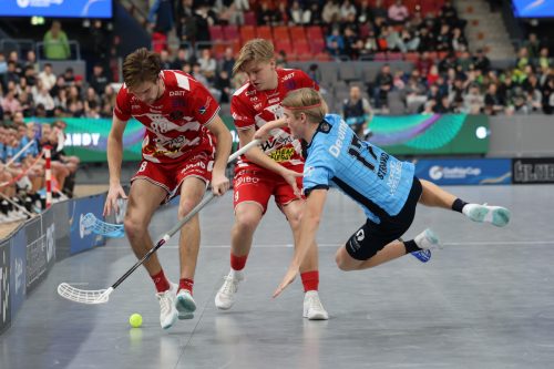 20260103 PixboWarberg 0426