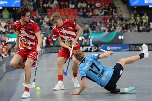 20260103 PixboWarberg 0427