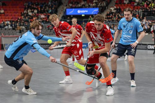 20260103 PixboWarberg 0475