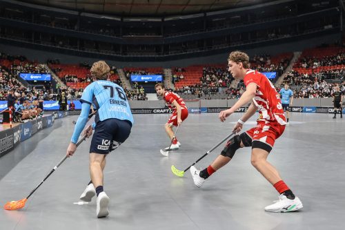 20260103 PixboWarberg 0486