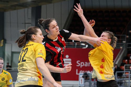 20260228 BayerLevRoedertal 0129