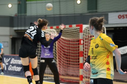 20260228 BayerLevRoedertal 0168