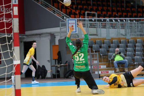 20260228 BayerLevRoedertal 0279