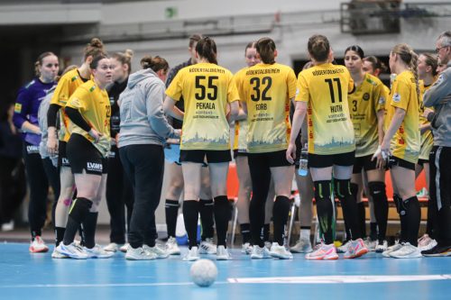 20260228 BayerLevRoedertal 0288