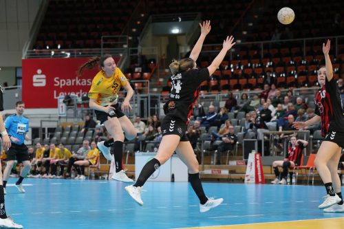 20260228 BayerLevRoedertal 0301