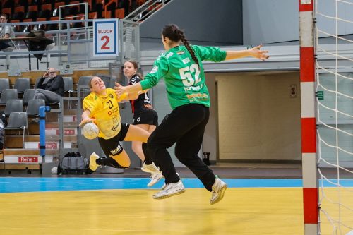 20260228 BayerLevRoedertal 0333