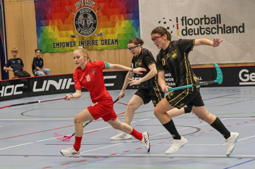 2026-02-08 Germany - Hungary