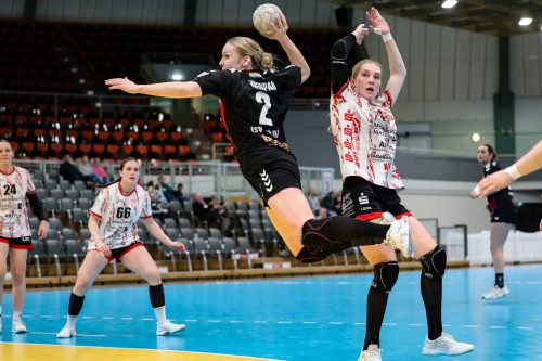 20260329 BayerLevNuiertingen 0101