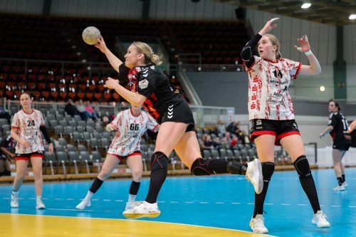 20260329 BayerLevNuiertingen 0103