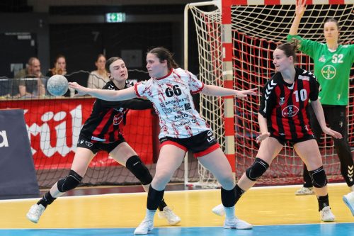 20260329 BayerLevNuiertingen 0181